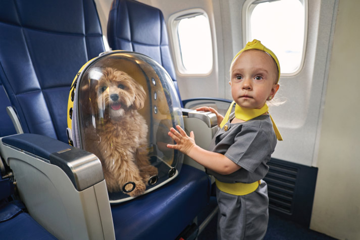 kid with pet on the plane